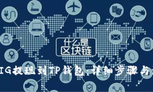 如何将PIG提现到TP钱包：详细步骤与注意事项