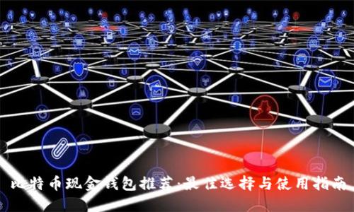 比特币现金钱包推荐：最佳选择与使用指南
