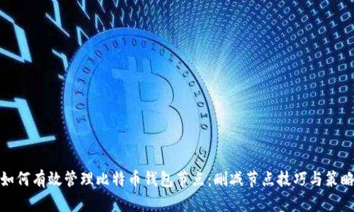如何有效管理比特币钱包节点:删减节点技巧与策略
