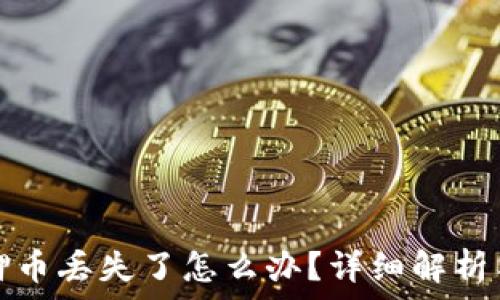   
TP钱包质押币丢失了怎么办？详细解析与解决方案