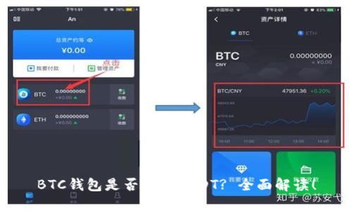 BTC钱包是否支持USDT? 全面解读！