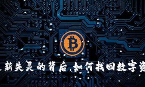 TP钱包：数据更新失灵的背后，如何找回数字资产的“听说权”