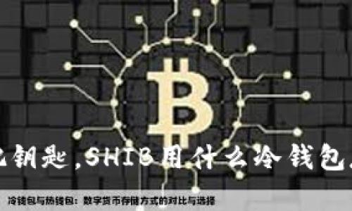  像银行里的一把钥匙，SHIB用什么冷钱包存储安全更无忧？