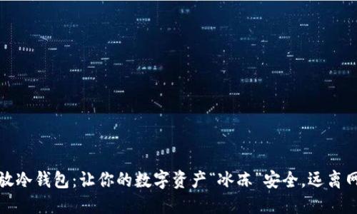 比特币放冷钱包：让你的数字资产“冰冻”安全，远离网络风险