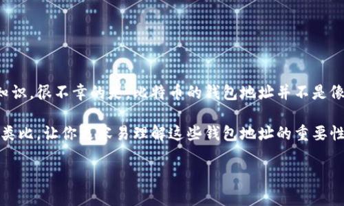 比特币（Bitcoin）在加密货币领域的地位无可撼动，而它的安全存储方式——钱包地址，则是每位投资者都必须了解的基础知识。很不幸的是，比特币的钱包地址并不是像银行帐号那样易于记忆的数字，反而更像是一把复杂而精致的钥匙，只有掌握了正确的方式，才能为你的数字资产保驾护航。

在这篇文章中，我们将介绍比特币排名前十的钱包地址，探讨它们的优势与劣势，以及它们背后的故事。希望通过这个比喻和类比，让你更容易理解这些钱包地址的重要性。

比特币钱包：你的数字珍宝箱，存储财富的秘密钥匙