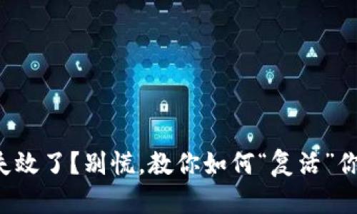 比特币钱包失效了？别慌，教你如何“复活”你的数字资产！