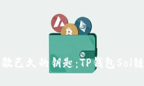 “像寻找失散已久的钥匙：TP钱包Sol链交易指南”