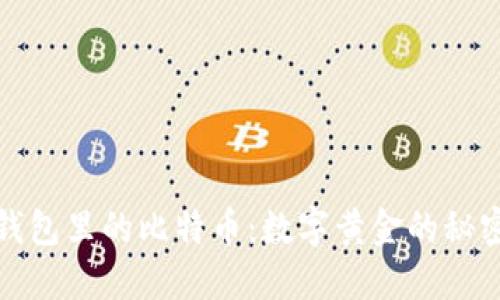 加密钱包里的比特币：数字黄金的秘密花园