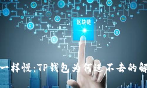 像海龟一样慢：TP钱包为何进不去的解密之旅