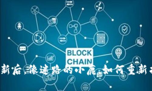 TP钱包更新后，像迷路的小鹿，如何重新找回方向？