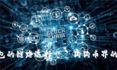 狗狗币钱包的链路选择——狗狗币界的“藏宝图
