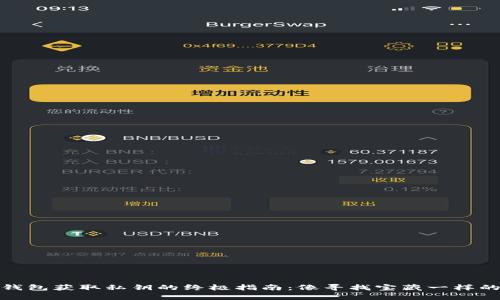 从狗狗币钱包获取私钥的终极指南：像寻找宝藏一样的财富之旅