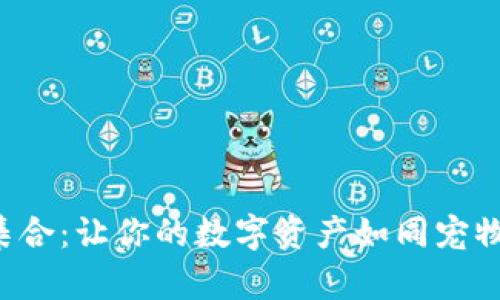 狗狗币钱包大集合：让你的数字资产如同宠物一般安全可爱！