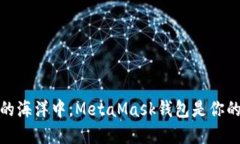 在数字货币的海洋中，MetaMask钱包是你的小船导航