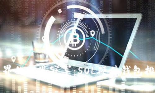 “硬件钱包界的卫冕冠军：SOL硬件钱包排行榜解析”