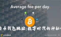 比特币钱包地址：数字时代的神秘邮筒