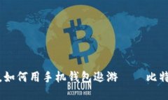 在数字货币的海洋中，如何用手机钱包遨游——