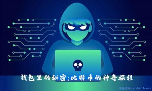 钱包里的秘密：比特币的神奇旅程