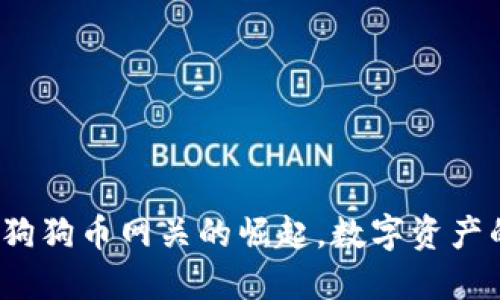 雷达钱包：狗狗币网关的崛起，数字资产的时代新宠