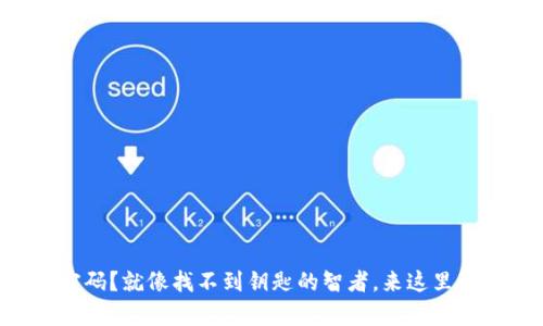 “忘记比特币钱包密码？就像找不到钥匙的智者，来这里解锁你的财富之门！”