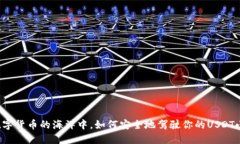 “在数字货币的海洋中，如何安全地驾驶你的U
