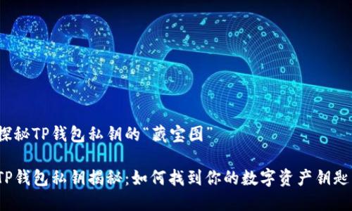 探秘TP钱包私钥的“藏宝图”

TP钱包私钥揭秘：如何找到你的数字资产钥匙？