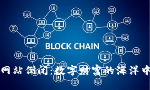 比特币钱包网站倒闭：数字财富的海洋中沉没的航船