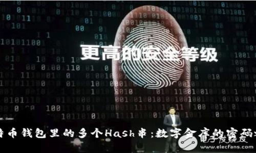 比特币钱包里的多个Hash串：数字金库的密码之舞
