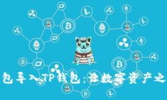 : 把冷钱包导入TP钱包：让数字资产之旅更顺畅