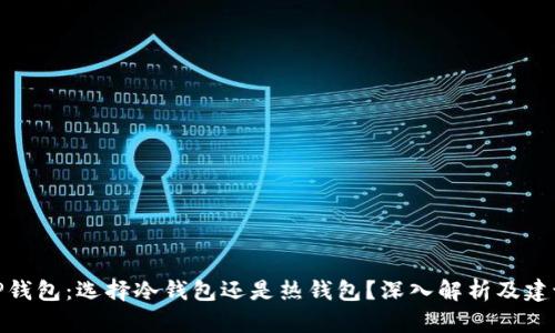 TP钱包：选择冷钱包还是热钱包？深入解析及建议