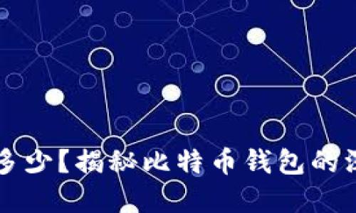 比特币钱包最高多少？揭秘比特币钱包的深层次价值和潜力