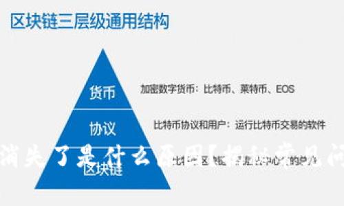TP钱包里的币消失了是什么原因？揭秘常见问题与解决方案
