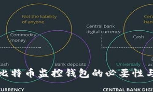 全面解析比特币监控钱包的必要性与使用技巧
