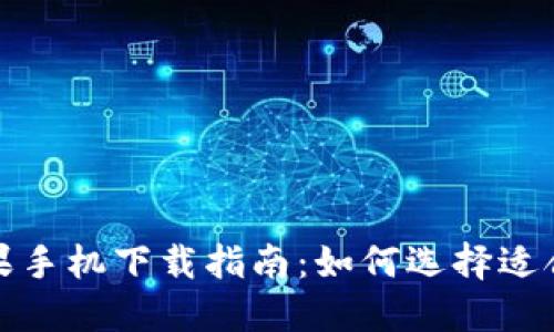 TP钱包苹果手机下载指南：如何选择适合你的版本