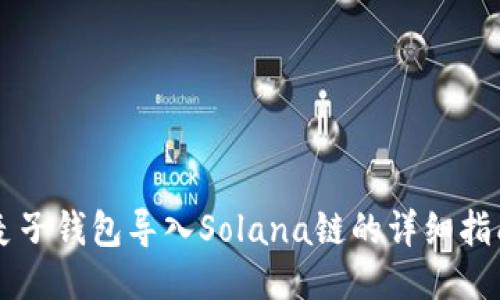 麦子钱包导入Solana链的详细指南