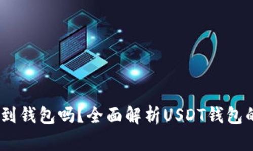 USDT可以存到钱包吗？全面解析USDT钱包的存储与使用