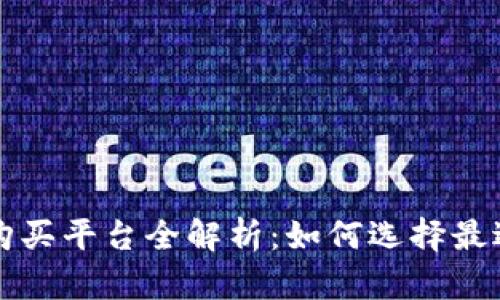 比特币钱包购买平台全解析：如何选择最适合你的钱包