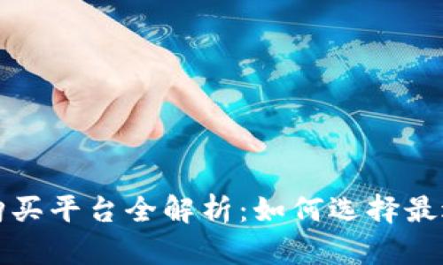 比特币钱包购买平台全解析：如何选择最适合你的钱包