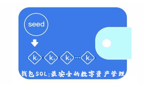 麦子钱包SOL：最安全的数字资产管理工具
