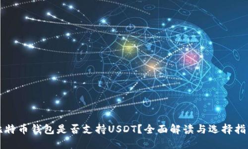 比特币钱包是否支持USDT？全面解读与选择指南