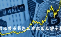 最佳比特币钱包品牌推荐及安全指南