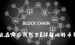 买了比特币后应该放在哪些钱包里？详解比特币