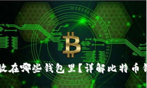 买了比特币后应该放在哪些钱包里？详解比特币钱包类型与选择指南