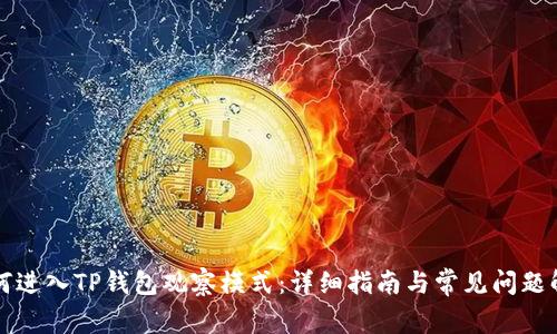 如何进入TP钱包观察模式：详细指南与常见问题解析