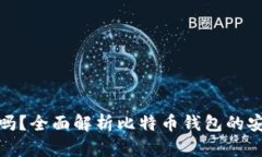 比特币钱包安全吗？全面解析比特币钱包的安全