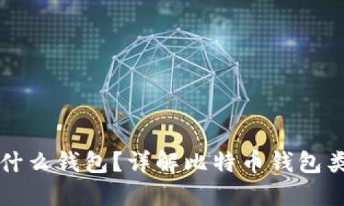 比特币钱包是什么钱包？详解比特币钱包类型与使用技巧